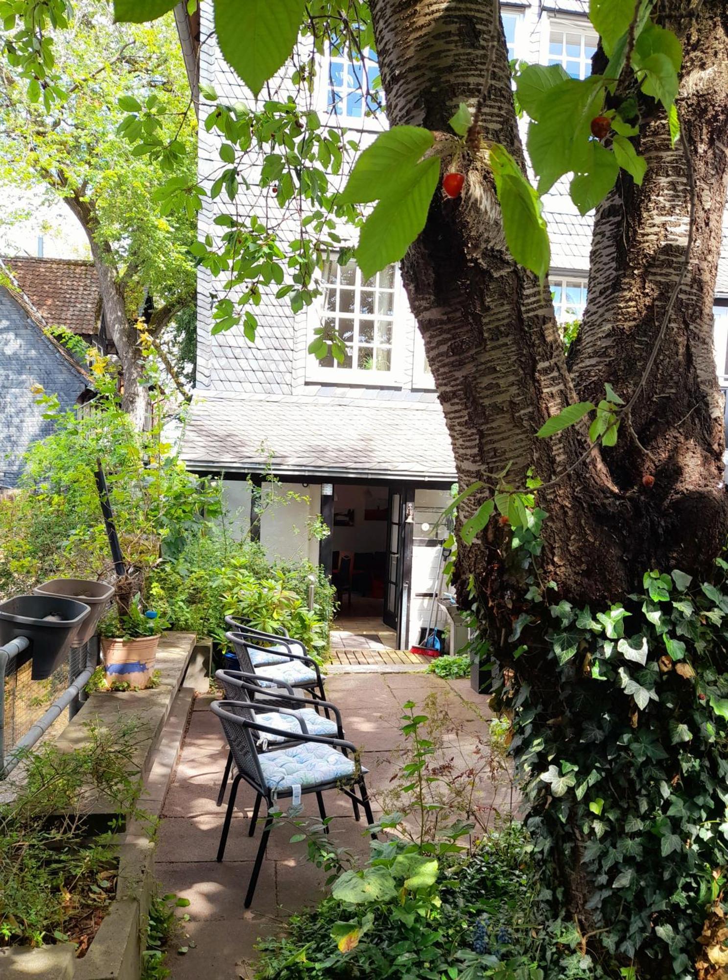 Ferienwohnung "Beste Lage" Altstadt Mit Terrasse Goslar Eksteriør billede