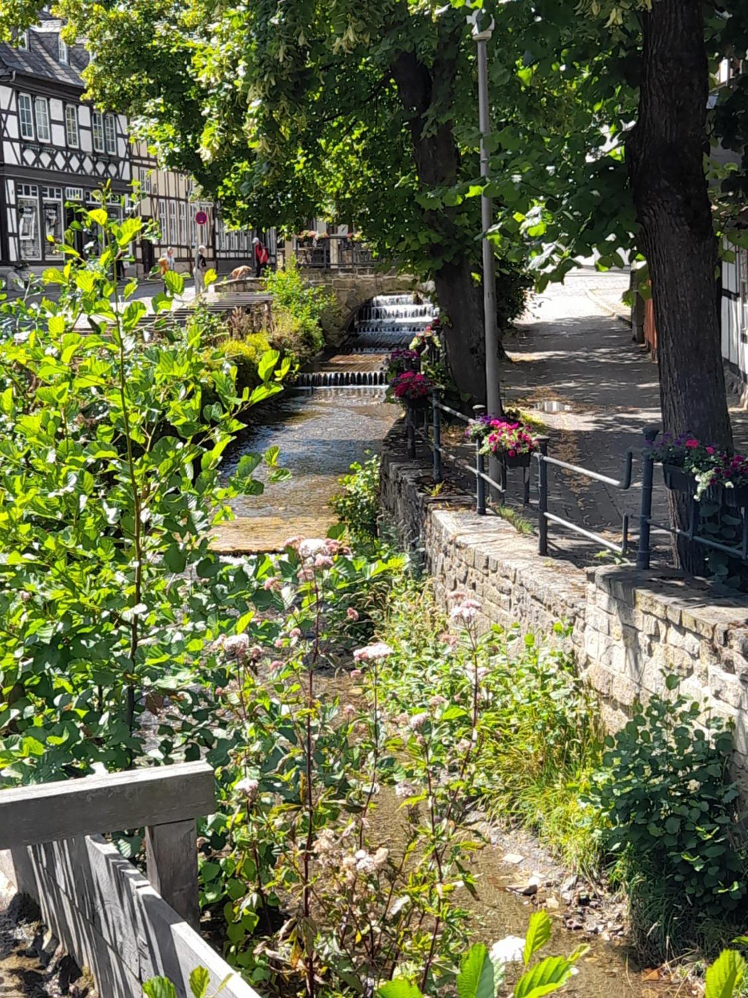 Ferienwohnung "Beste Lage" Altstadt Mit Terrasse Goslar Eksteriør billede